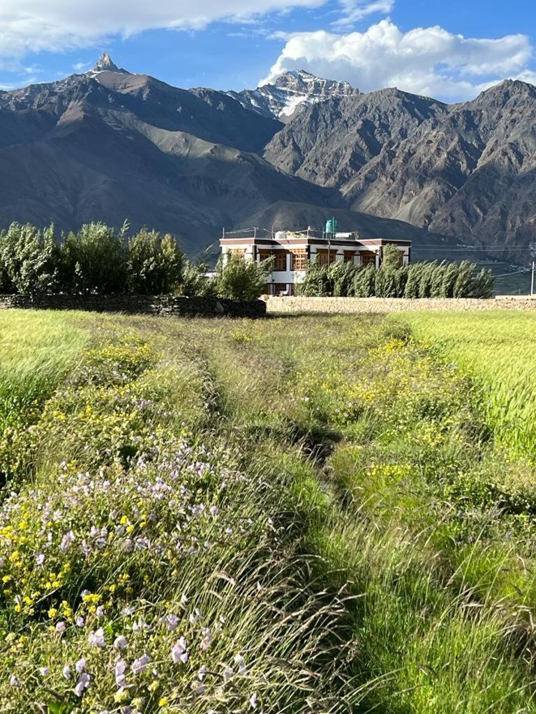 Guru View Home Stay Padam Exteriér fotografie